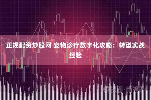 正规配资炒股网 宠物诊疗数字化攻略：转型实战经验